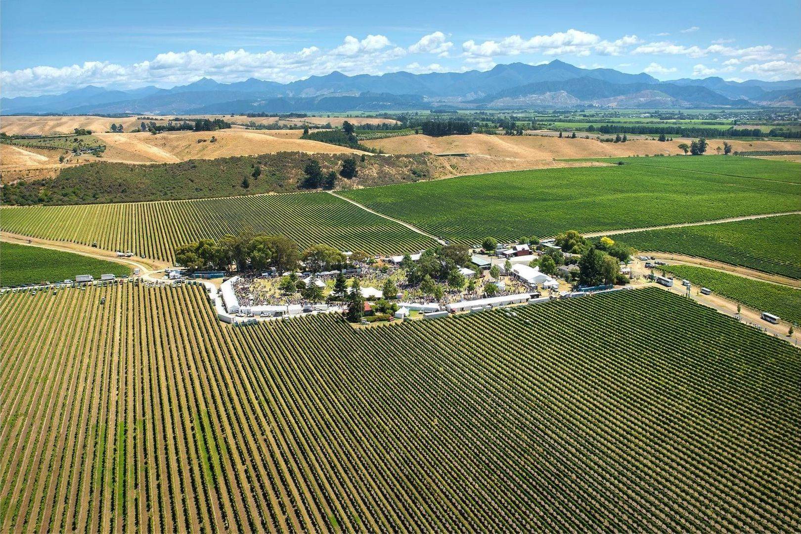 Marlborough Food and Wine