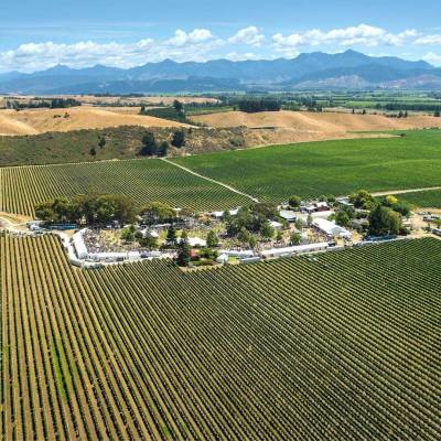 Marlborough Wine & Food Festival